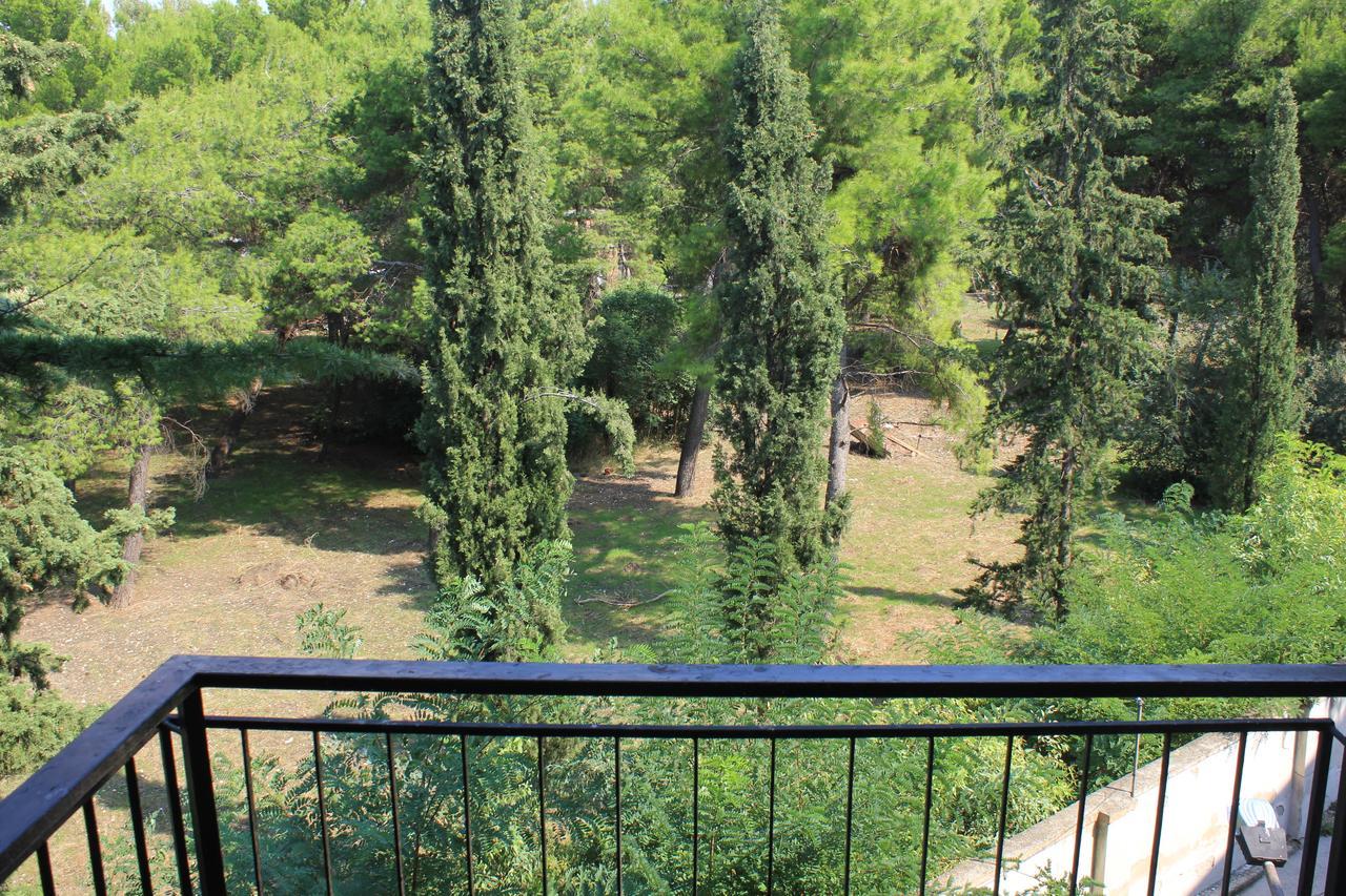 Il Giardino In Citta - Parcheggio Privato Gratuito Bed & Breakfast